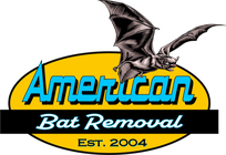 American Bat Removal